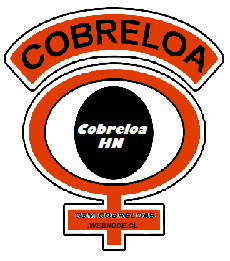 COBRELOA HN - logo (antiguo)